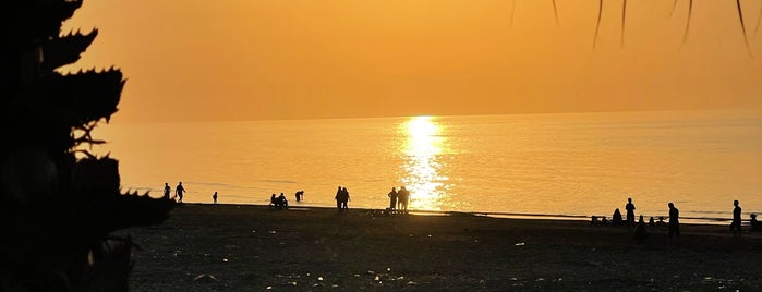 Narenjestan Beach | ساحل نارنجستان is one of Lieux qui ont plu à Mohsen.