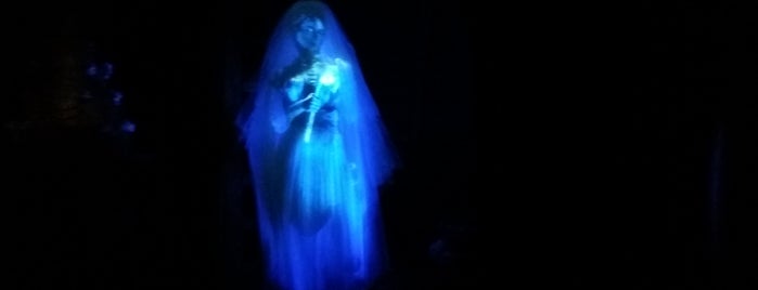 Haunted Mansion is one of خورخ دانيال 님이 좋아한 장소.