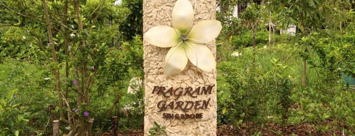 Fragrant Garden is one of P 님이 좋아한 장소.