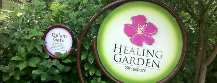 Healing Garden is one of Che’s Liked Places.