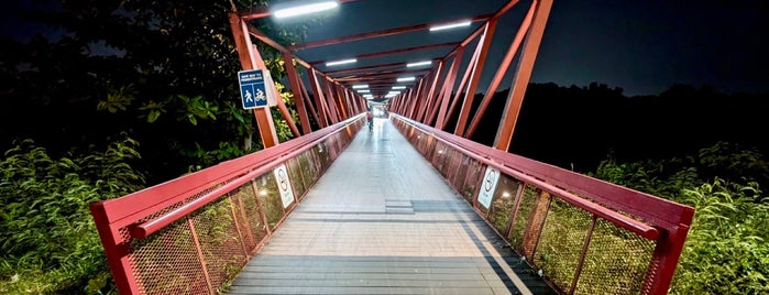 Lorong Halus Bridge is one of Sunrise Locations.