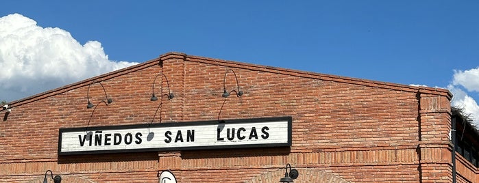 San Lucas Vinery is one of Lugares favoritos de Ricardo.