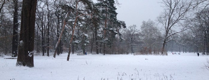 Bois de Vincennes is one of Mon beau Paris.