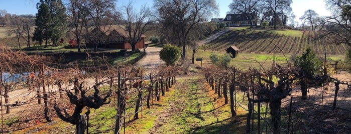 Young's Vineyard is one of Visiting Sutter Creek.