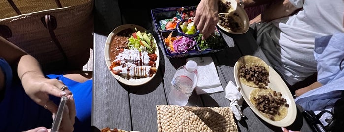 The 15 Best Authentic Places In Cabo San Lucas The 15 Best Authentic Places In Cabo San Lucas