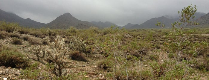 Phoenix Mountain Preserve is one of Tempat yang Disukai Anthony.