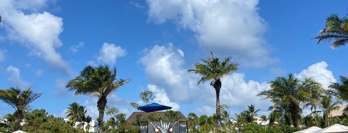 Eden Pool is one of Punta Cana.