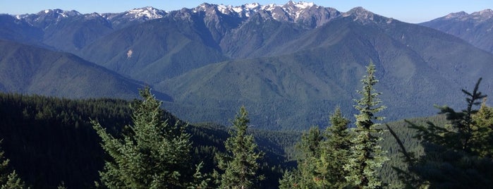 Olympic National Park is one of NW, Washington Field Research.