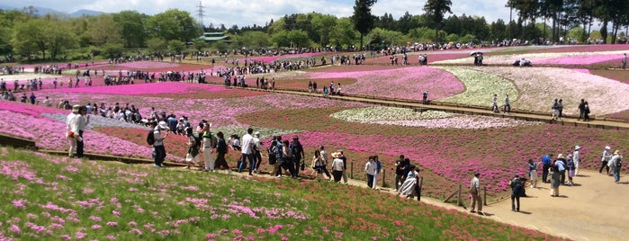 芝桜の丘 is one of Things to do - Tokyo & Vicinity, Japan.