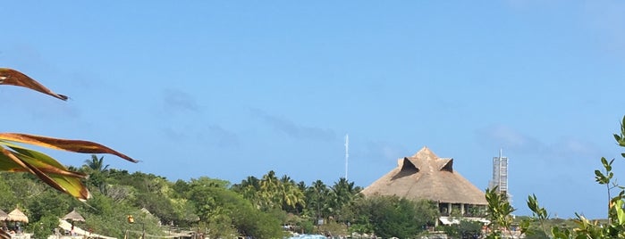 Xel-Há is one of Cancun.