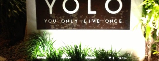 YOLO is one of Floride 2015.