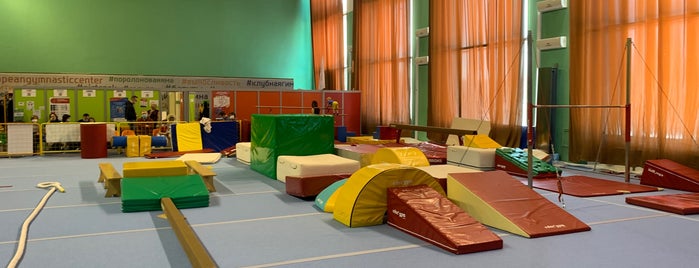 Европейский гимнастический центр is one of Мск фитнес.