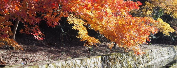 Philosopher's Path is one of Kyoto and Mount Kurama.