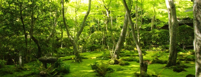 Giouji Temple is one of Kyoto and Mount Kurama.