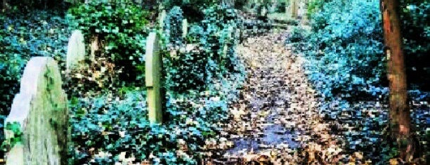 Highgate Cemetery is one of London/England/Wales To Do/Redo.