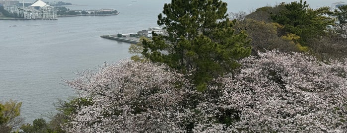 野島公園 展望台 is one of かながわ景勝50選.