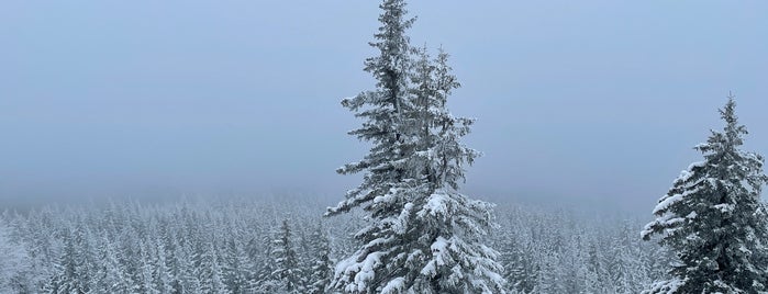 Национальный парк «Зюраткуль» is one of Базы отдыха.