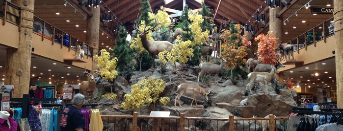 Cabela's is one of places.