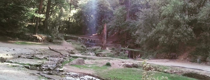 Parque Nacional Desierto de los Leones is one of Tempat yang Disukai Ro.