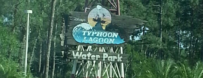 Typhoon Lagoon Main Entrance is one of October 2014 Disney Trip.