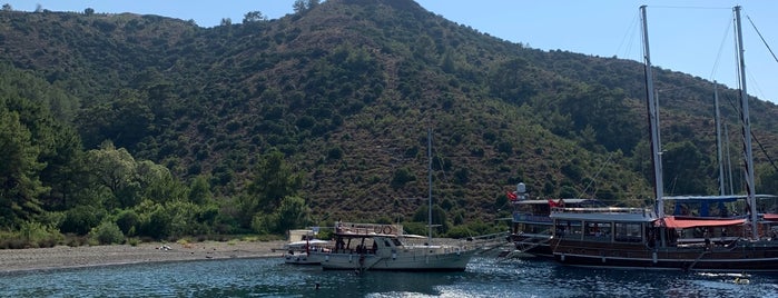 Rabbit Island is one of Lugares favoritos de Zeynep.