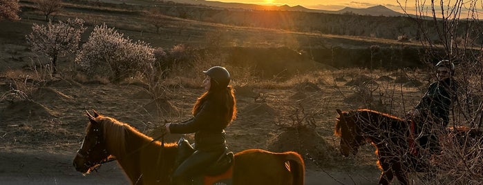 Moonlight Horse Farm is one of kapadokya.