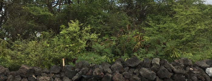 Makena Lava Flow is one of Maui.