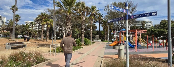 Plaza Colombia is one of vina del mar.