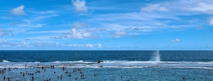 Praia de Arembepe is one of elin.