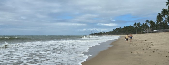 Praia de Maracaípe is one of Favoritos.