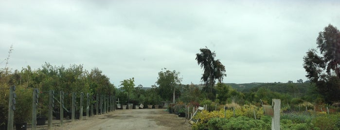 Village Nurseries Landscape Center is one of and.