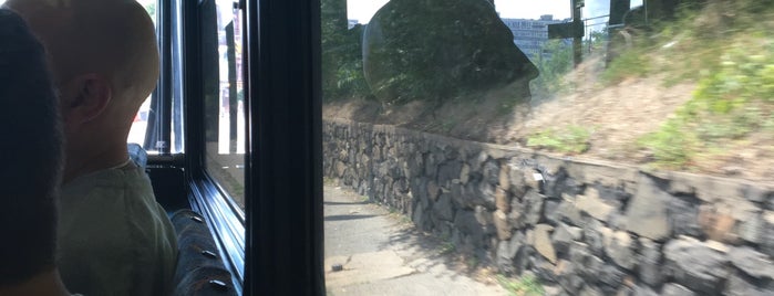 NJT - Bus 166 is one of Frequent - Jeerz.