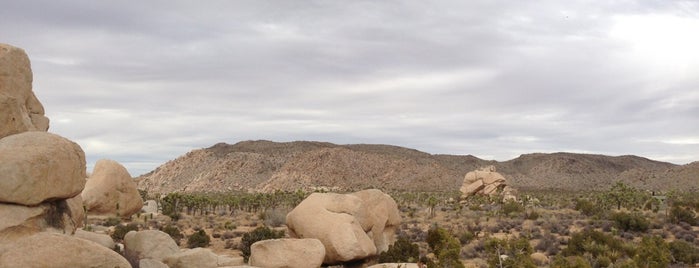 Town of Yucca Valley is one of back to nothingness, like a week in the desert.