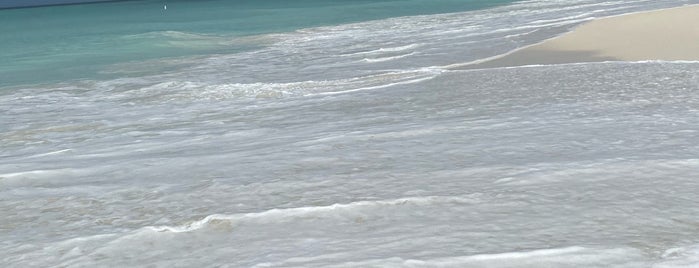 Manchebo Beach is one of Aruba ☀️.