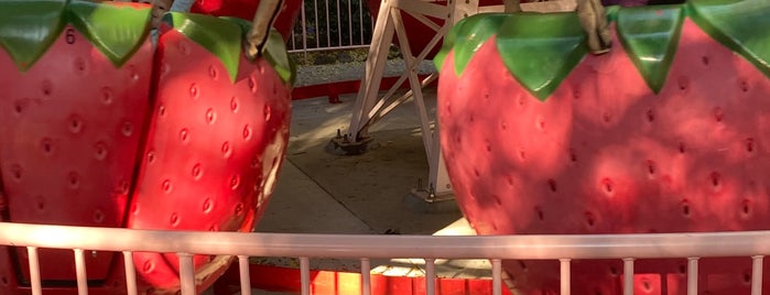 Strawberry Sundae is one of Gilroy Gardens.