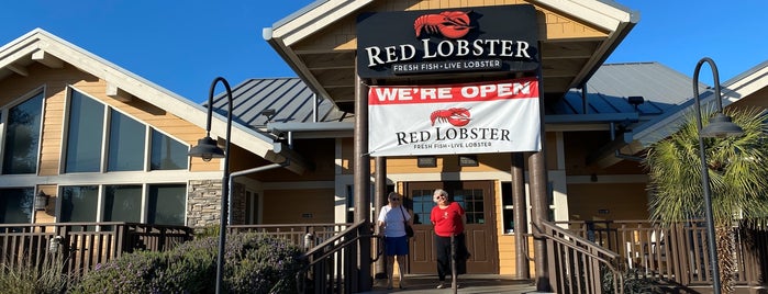 Red Lobster is one of Seafood.