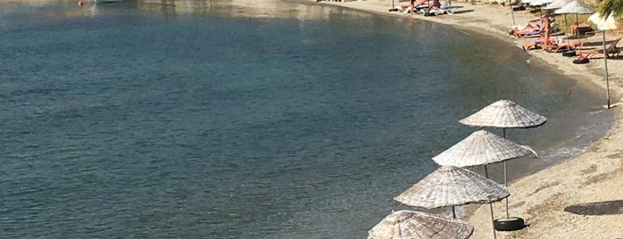Foça Teras Beach is one of Izmir.