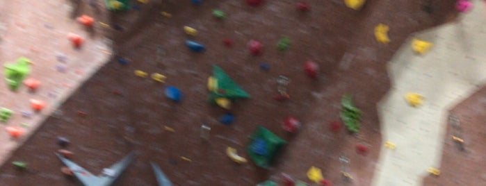 Adventure Rock Climbing Gym Inc is one of Frequented spots.