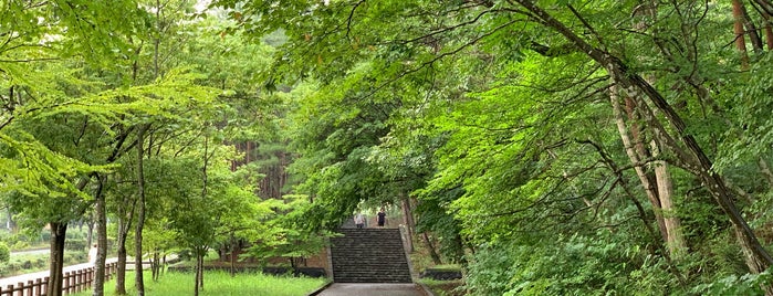 桜ヶ丘公園 is one of สถานที่ที่ Gianni ถูกใจ.