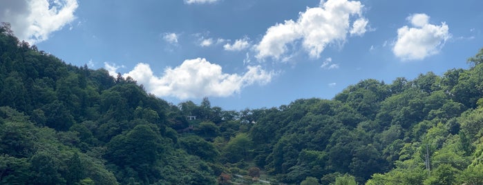 天童公園 is one of Gianniさんのお気に入りスポット.