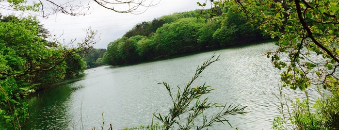 水の森公園 is one of สถานที่ที่ Gianni ถูกใจ.