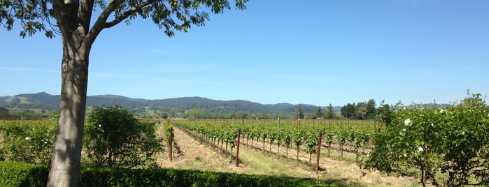 J Vineyards & Winery is one of Wine Country.