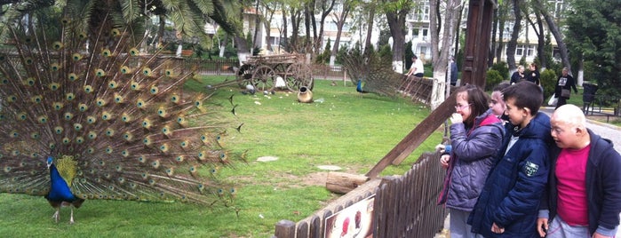 Röne Park is one of Places of interest in Istanbul.