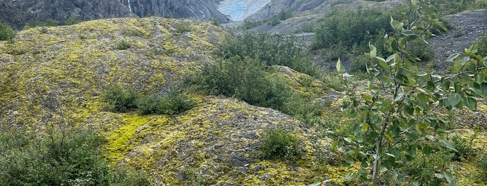 Kenai Fjords National Park is one of Alaska.