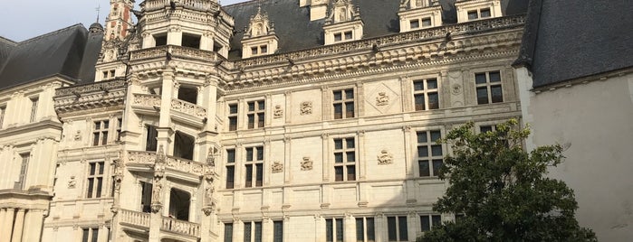 Château de Blois is one of Elodie : понравившиеся места.