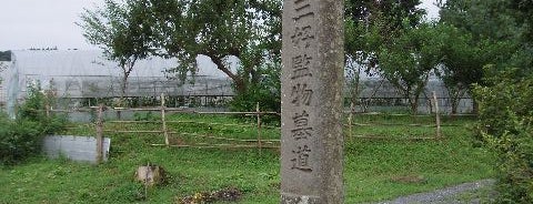 仙台藩参政三好監物墓（松柏山斎苑） is one of 歴史上人物墓地.