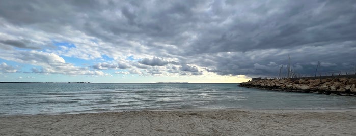 S'Arenal de Sa Ràpita is one of Mallorca.