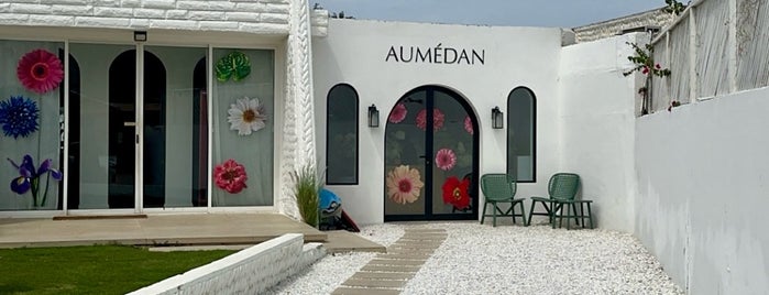 Villa Aumédan is one of Coffee & Dessert & Books | Kahve & Tatlı ☕️🍮🍫📚.