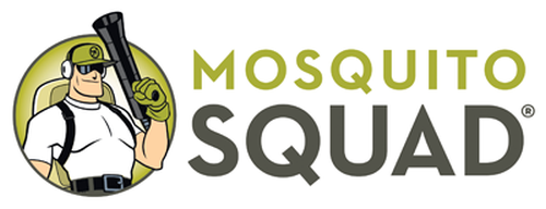 Mosquito Squad is one of Mosquito Squad.