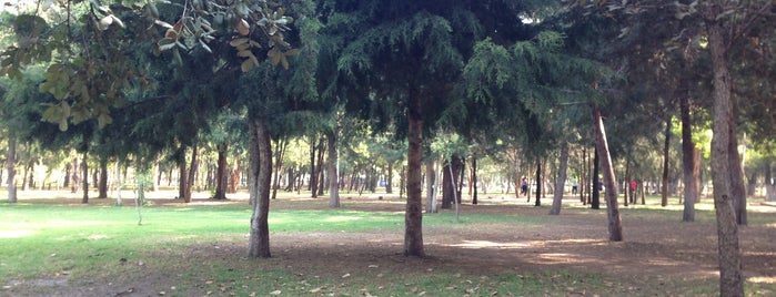 Parque Naucalli is one of Running.